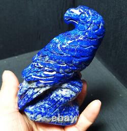 TOP 288G Natural lapis lazuli Crystal Hand Carved Beauty Eagle Decoration A1946