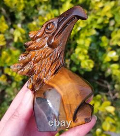 TOP 291.5G Natural Tiger eye Crystal Hand-Carved Beauty eagle Decorations YWD486