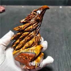 TOP 331.9G Natural Tiger eye Crystal Hand-Carved Beauty Eagle Decorations YU548