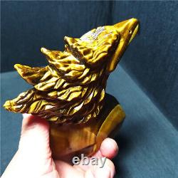 TOP 382.7G Natural Tiger eye Crystal Hand-Carved Beauty eagle Decorations YWD488
