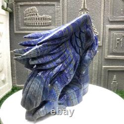 TOP! Natural lapis lazuli Hand Carved eagle skull Crystal healing Reiki Decor