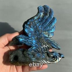 Top 5 Natural blu-ray labradorite eagle skull quartz crystal skull gem 549g