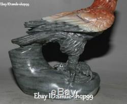 Unique Natural Shoushan Stone Hand Carved Bird Eagle Hawk Falcon Animal Statue