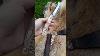 Viking Knife Seax With Leather Sheath Moose Antlers Hand Carved Wolf Handle Hand Forged Blade