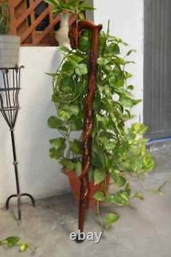 Wooden Carved Eagle Head & Snake Climbing On A Tree Shaped Cane handmade wood cr